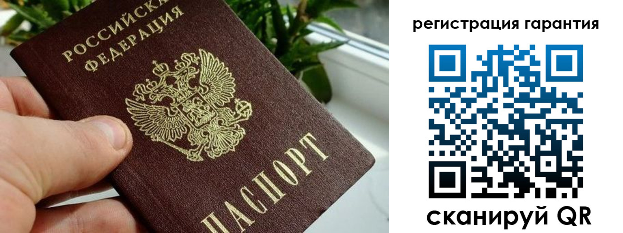 временная регистрация надежно в Александрове